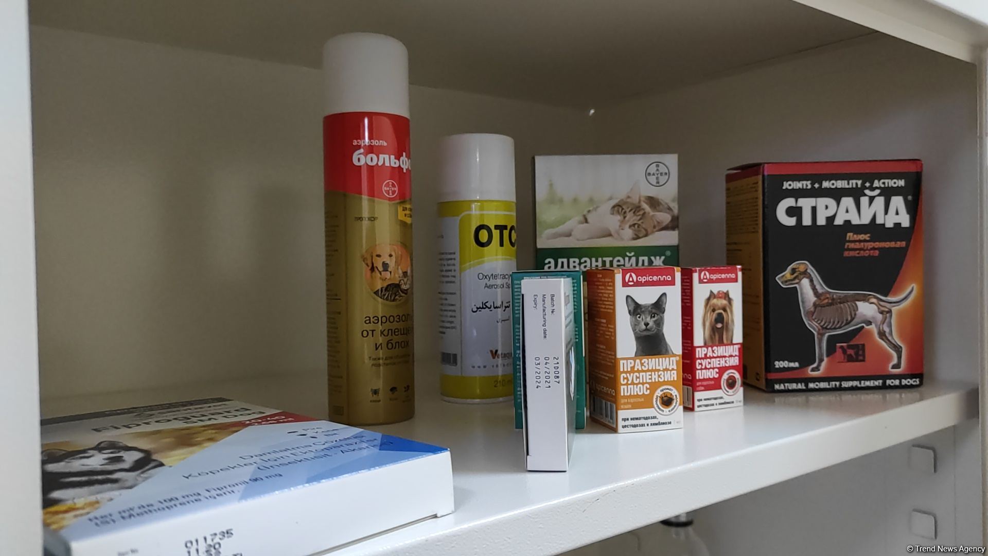 В первую самую крупную и современную на Южном Кавказе ветеринарную клинику в Баку уже поступают обращения - Trend TV (ФОТО/ВИДЕО)
