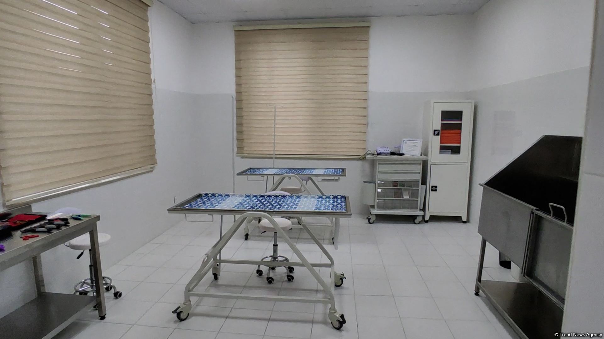 В первую самую крупную и современную на Южном Кавказе ветеринарную клинику в Баку уже поступают обращения - Trend TV (ФОТО/ВИДЕО)