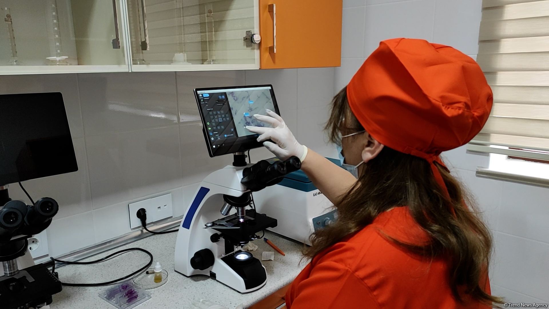 В первую самую крупную и современную на Южном Кавказе ветеринарную клинику в Баку уже поступают обращения - Trend TV (ФОТО/ВИДЕО)