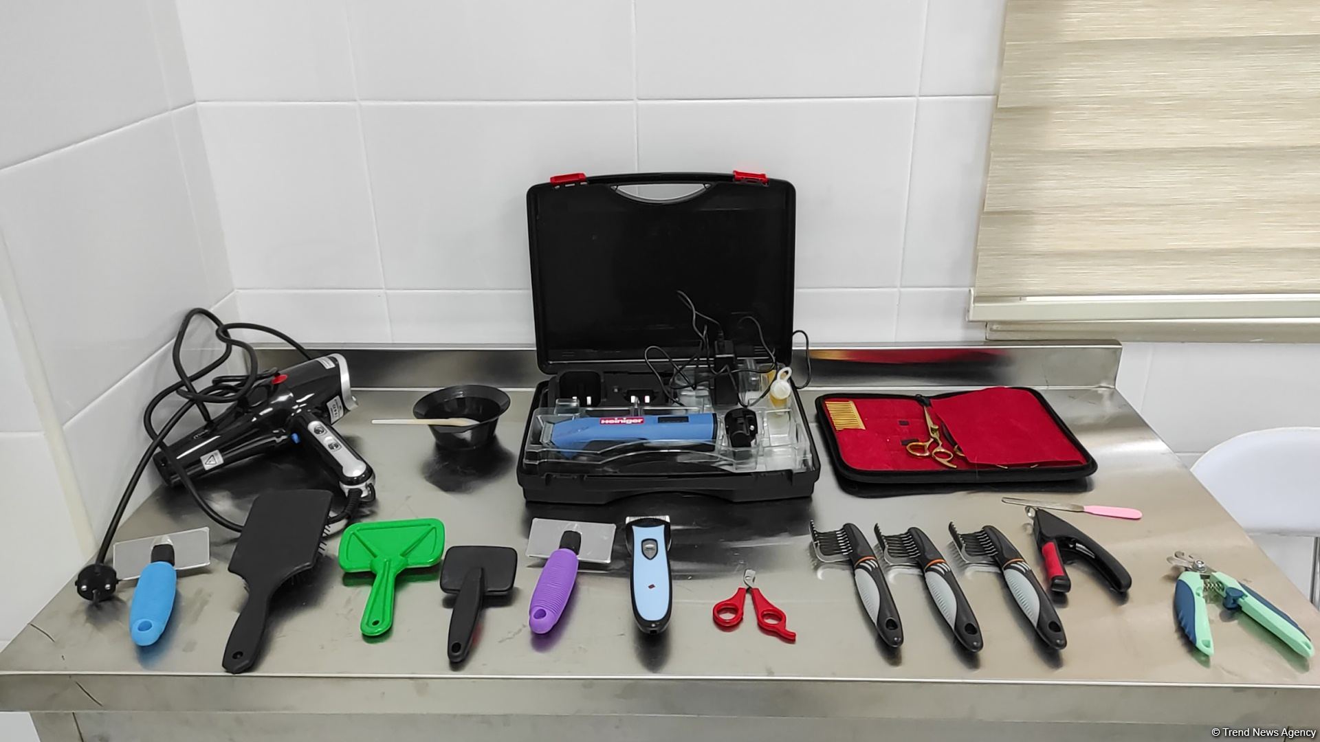 В первую самую крупную и современную на Южном Кавказе ветеринарную клинику в Баку уже поступают обращения - Trend TV (ФОТО/ВИДЕО)