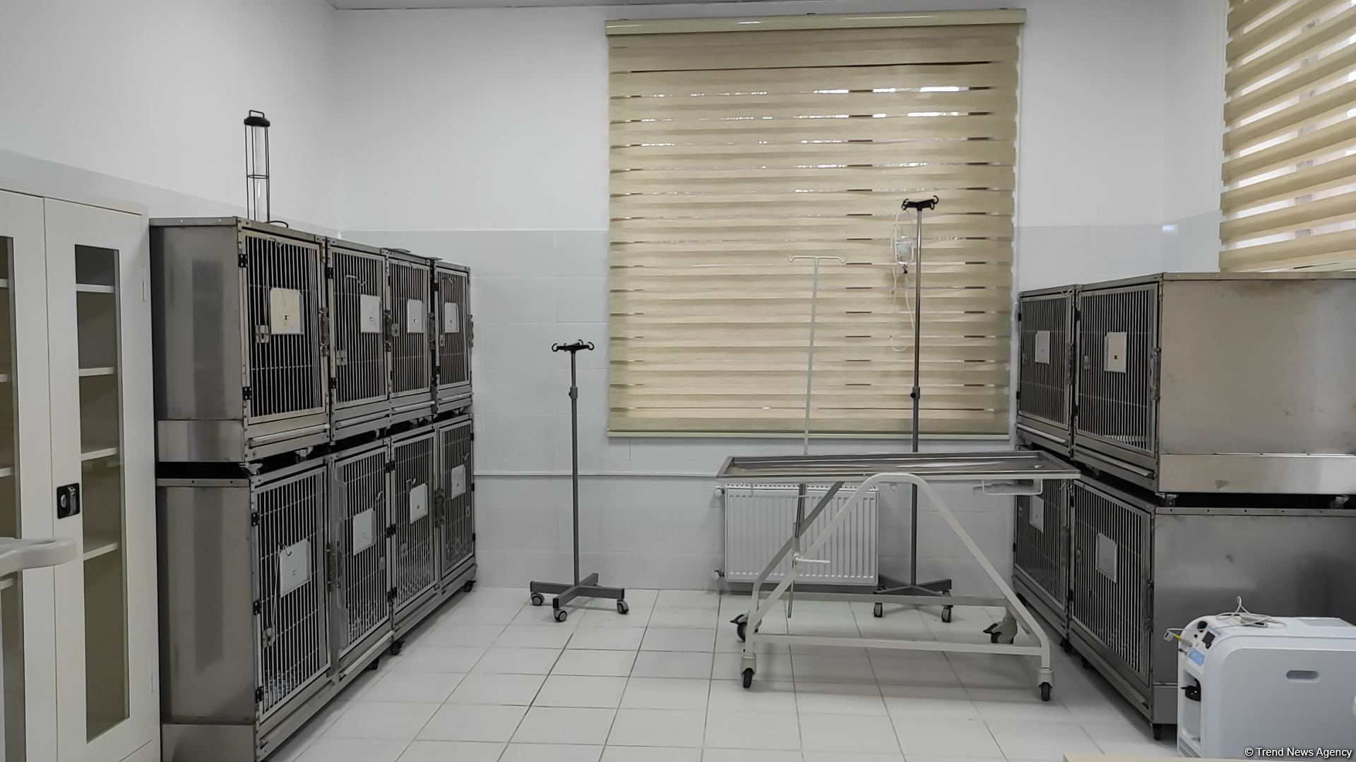 В первую самую крупную и современную на Южном Кавказе ветеринарную клинику в Баку уже поступают обращения - Trend TV (ФОТО/ВИДЕО)