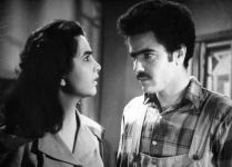 Как азербайджанским колхозникам в еду подливали  нефть, или Когда плачут кони...  (ФОТО)