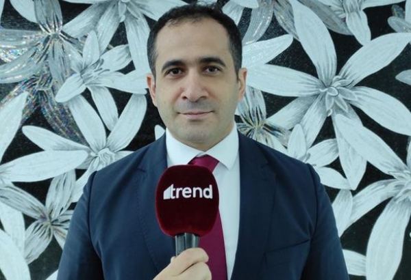 Структура Агентства кино находится на этапе формирования – первый замминистра культуры