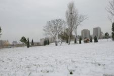 Фоторепортаж из заснеженного Баку