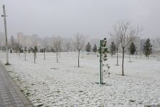 Фоторепортаж из заснеженного Баку