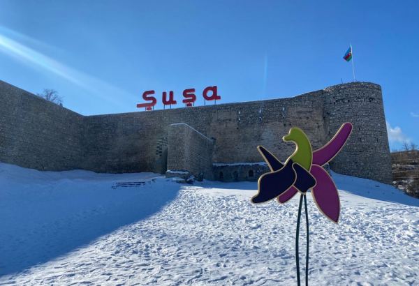 Определен график заседаний комитетов Милли Меджлиса в Шуше