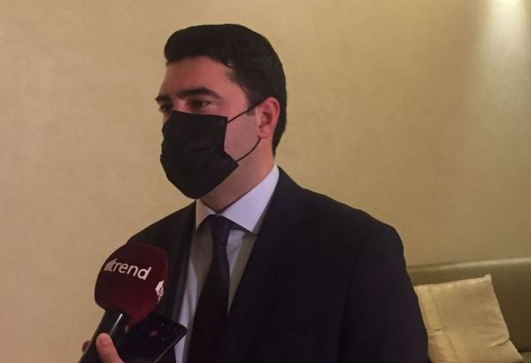 На освобожденных территориях Азербайджана планируются мероприятия по восстановлению флоры и фауны - начальник Госслужбы