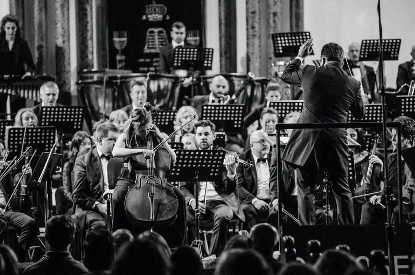 Тропою грома! Эйюб Гулиев с успехом выступил на открытии  Best of Novi Sad в Сербии (ФОТО)