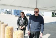 Президент Ильхам Алиев и Первая леди Мехрибан Алиева ознакомились с условиями, созданными в Агджабединском зерновом агропарке (ФОТО/ВИДЕО)
