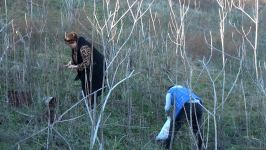 Президент Ильхам Алиев подарил нам безмерную радость и гордость Победы - вернувшиеся в родное село уроженцы Зангилана (ФОТО/ВИДЕО)