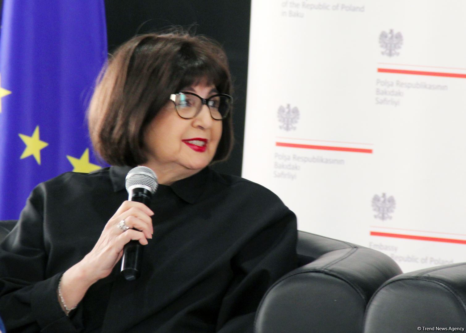 В Баку представлен проект, посвященный культурному наследию Польши в Азербайджане (ФОТО)