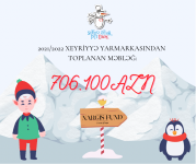 Фонд «Nargis» представил отчет благотворительной ярмарки «Холодные руки, горячее сердце» (ФОТО)