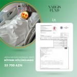 Фонд «Nargis» представил отчет благотворительной ярмарки «Холодные руки, горячее сердце» (ФОТО)