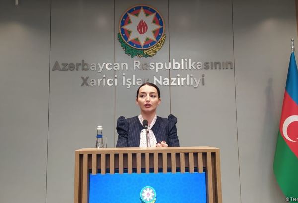 На сегодня Украину покинули около 4 тыс. азербайджанцев – МИД