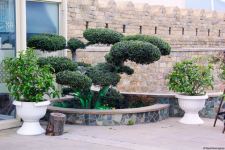 Ичери шехер в начале весны – прогулка перед закатом (ФОТО)