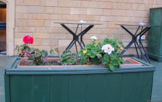 Ичери шехер в начале весны – прогулка перед закатом (ФОТО)