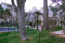 Ичери шехер в начале весны – прогулка перед закатом (ФОТО)