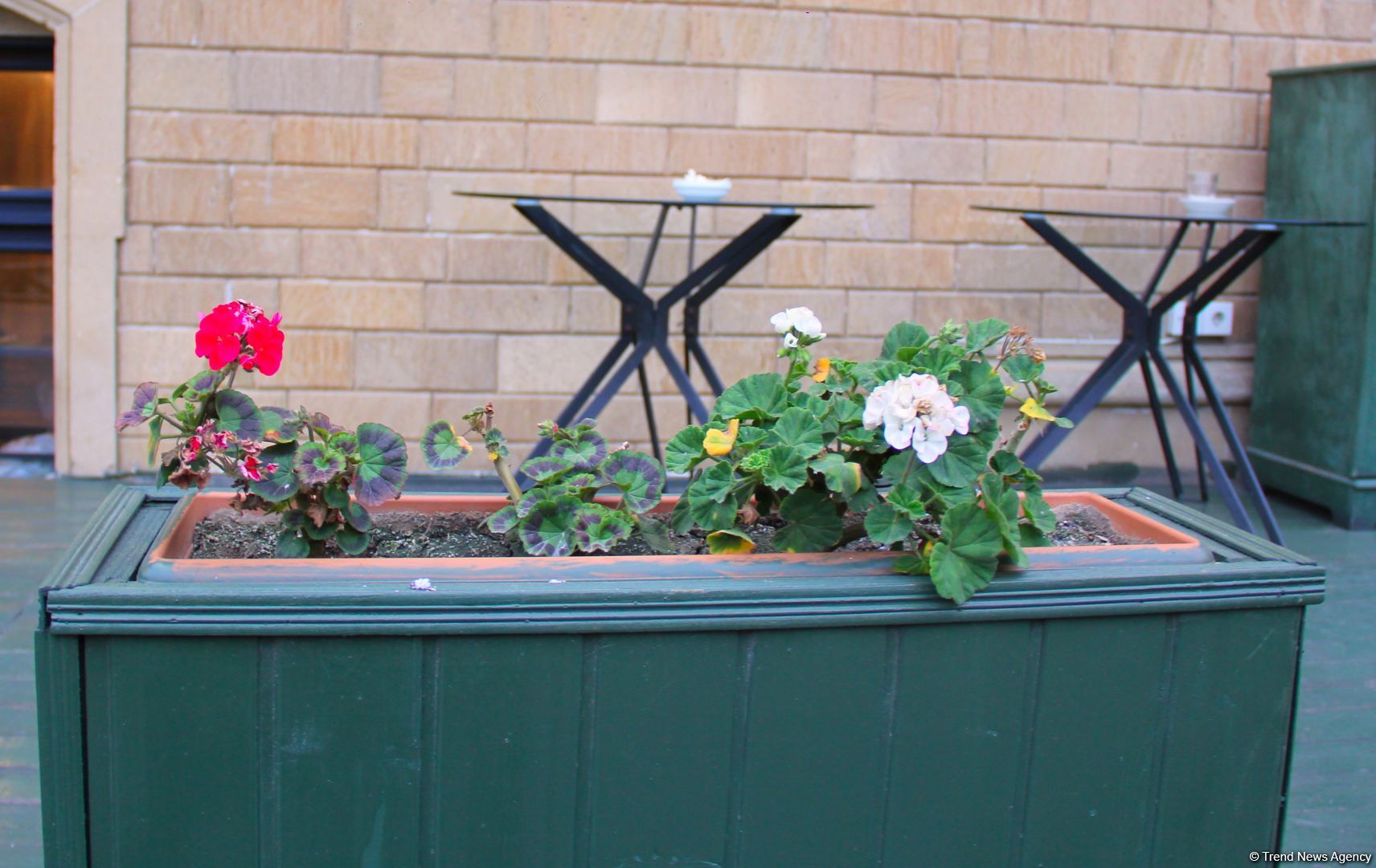 Ичери шехер в начале весны – прогулка перед закатом (ФОТО)