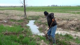 Агдамские фермеры поблагодарили Президента Ильхама Алиева за ускоренные работы по организации процесса орошения - Репортаж Trend TV