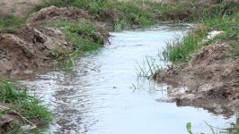 Агдамские фермеры поблагодарили Президента Ильхама Алиева за ускоренные работы по организации процесса орошения - Репортаж Trend TV