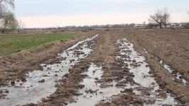 Агдамские фермеры поблагодарили Президента Ильхама Алиева за ускоренные работы по организации процесса орошения - Репортаж Trend TV