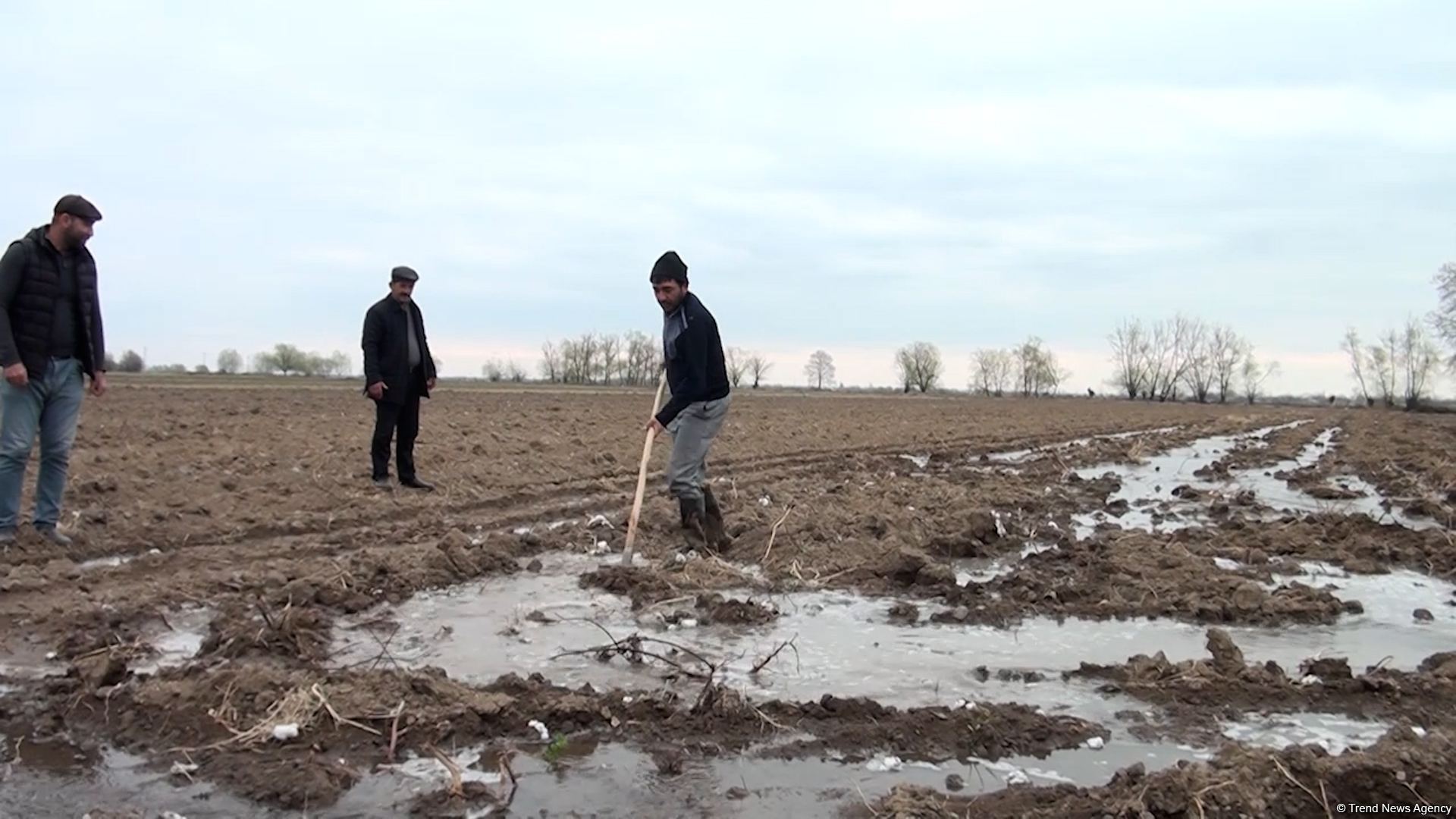 Агдамские фермеры поблагодарили Президента Ильхама Алиева за ускоренные работы по организации процесса орошения - Репортаж Trend TV