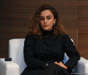 Анар Керимов рассказал о проекте в сфере культуры, связанном с Шушой (ФОТО)