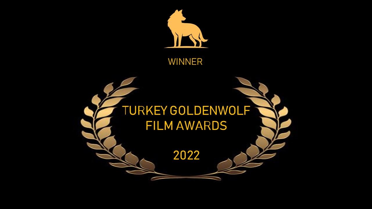 Международное признание фильма Шамиля Алиева (ФОТО)