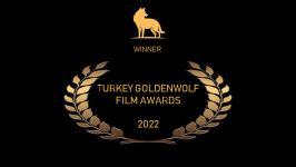 Международное признание фильма Шамиля Алиева (ФОТО)