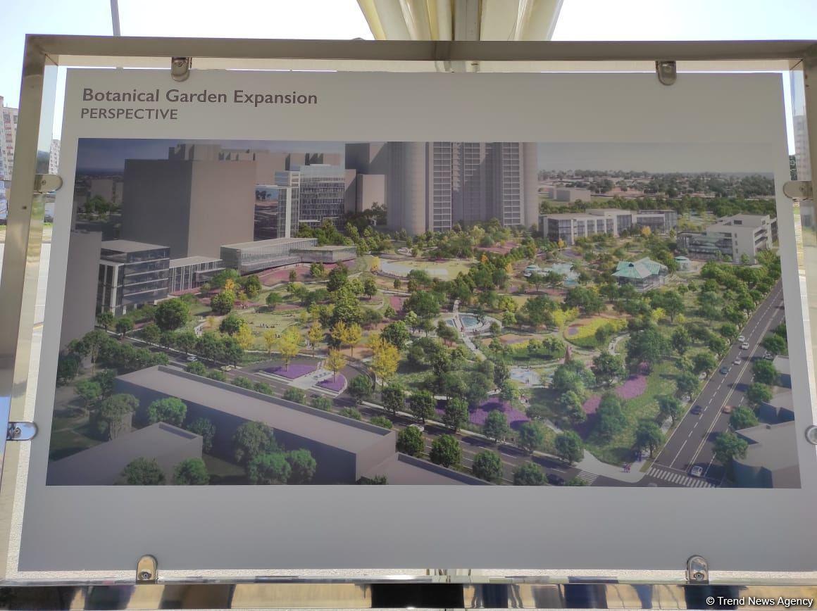 Подписан документ о строительстве итальяно-азербайджанского университета (ФОТО)