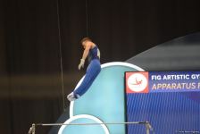 Лучшие моменты заключительного дня Кубка мира FIG в Баку (ФОТО)