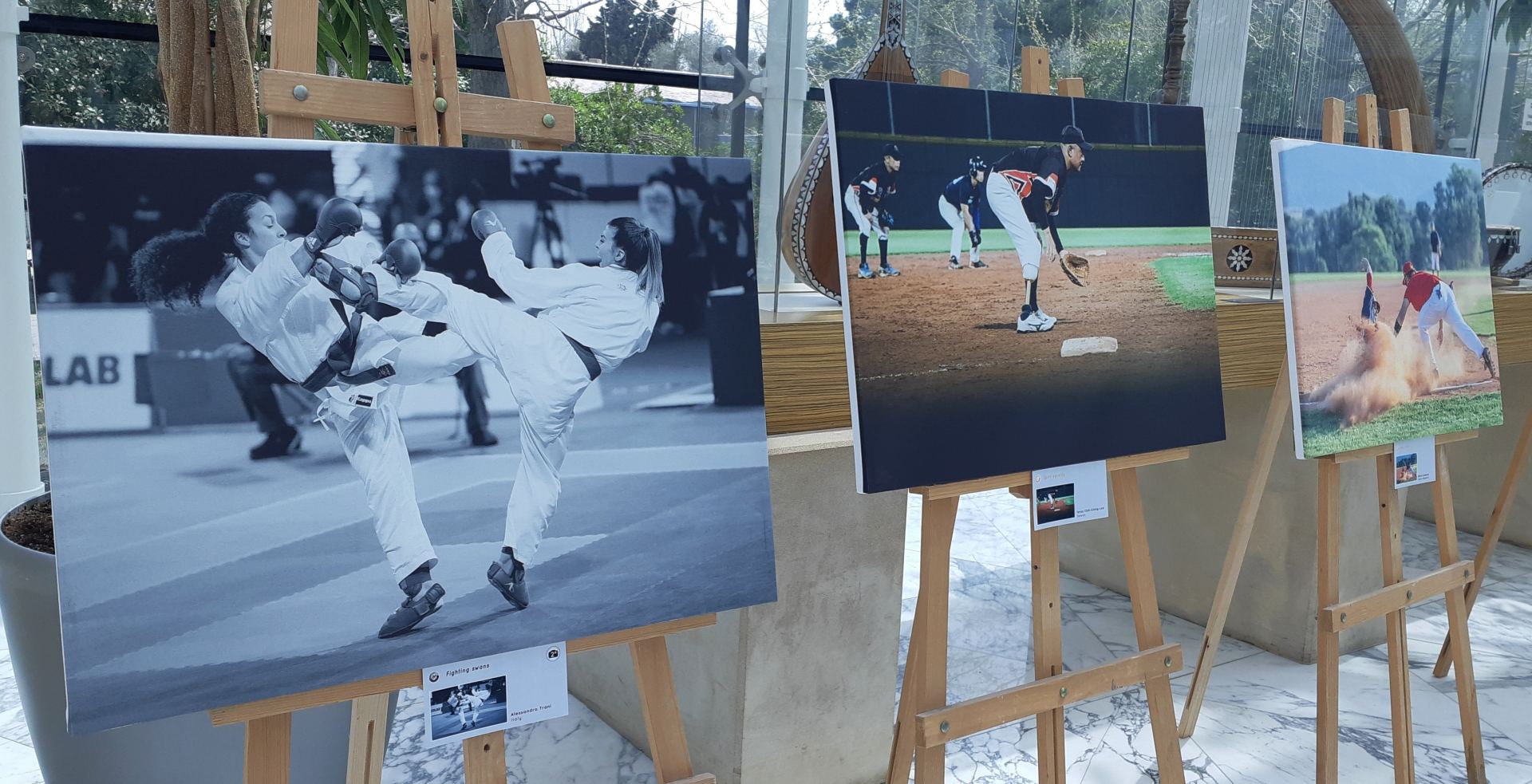 Единение спорта и искусства – в Баку открылась международная фотовыставка "Run for Art" (ФОТО)