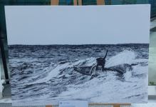 Единение спорта и искусства – в Баку открылась международная фотовыставка "Run for Art" (ФОТО)