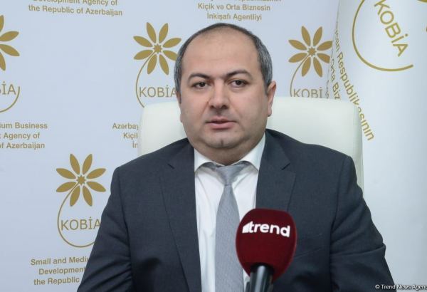 TEKNOFEST Azerbaijan расширит возможности выхода местных стартапов на международные рынки (ФОТО)