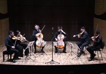 Виола, виолин, виолончель – дебют на бакинской сцене (ФОТО)