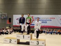 Азербайджанские гимнасты завоевали семь медалей на международном турнире в Чехии (ФОТО)