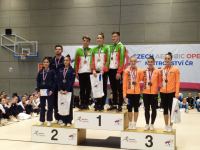 Азербайджанские гимнасты завоевали семь медалей на международном турнире в Чехии (ФОТО)