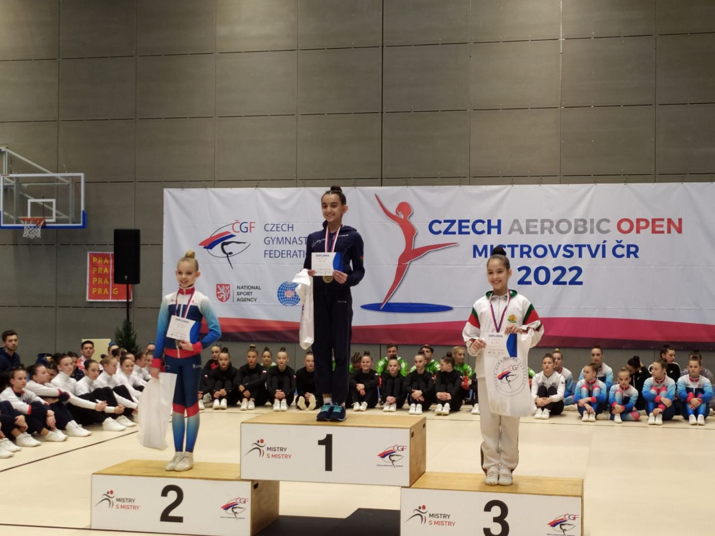 Азербайджанские гимнасты завоевали семь медалей на международном турнире в Чехии (ФОТО)