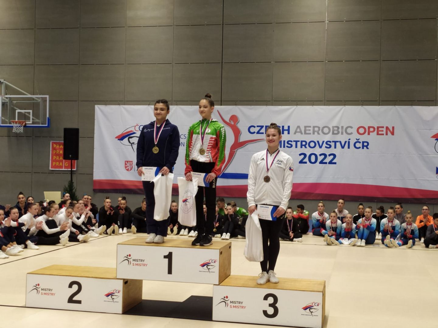 Азербайджанские гимнасты завоевали семь медалей на международном турнире в Чехии (ФОТО)