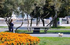 Приморский бульвар Баку (ФОТОСЕССИЯ)