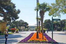 Приморский бульвар Баку (ФОТОСЕССИЯ)