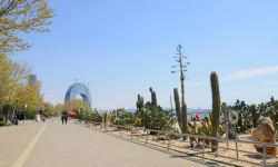 Приморский бульвар Баку (ФОТОСЕССИЯ)