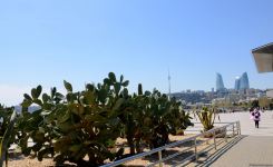 Приморский бульвар Баку (ФОТОСЕССИЯ)