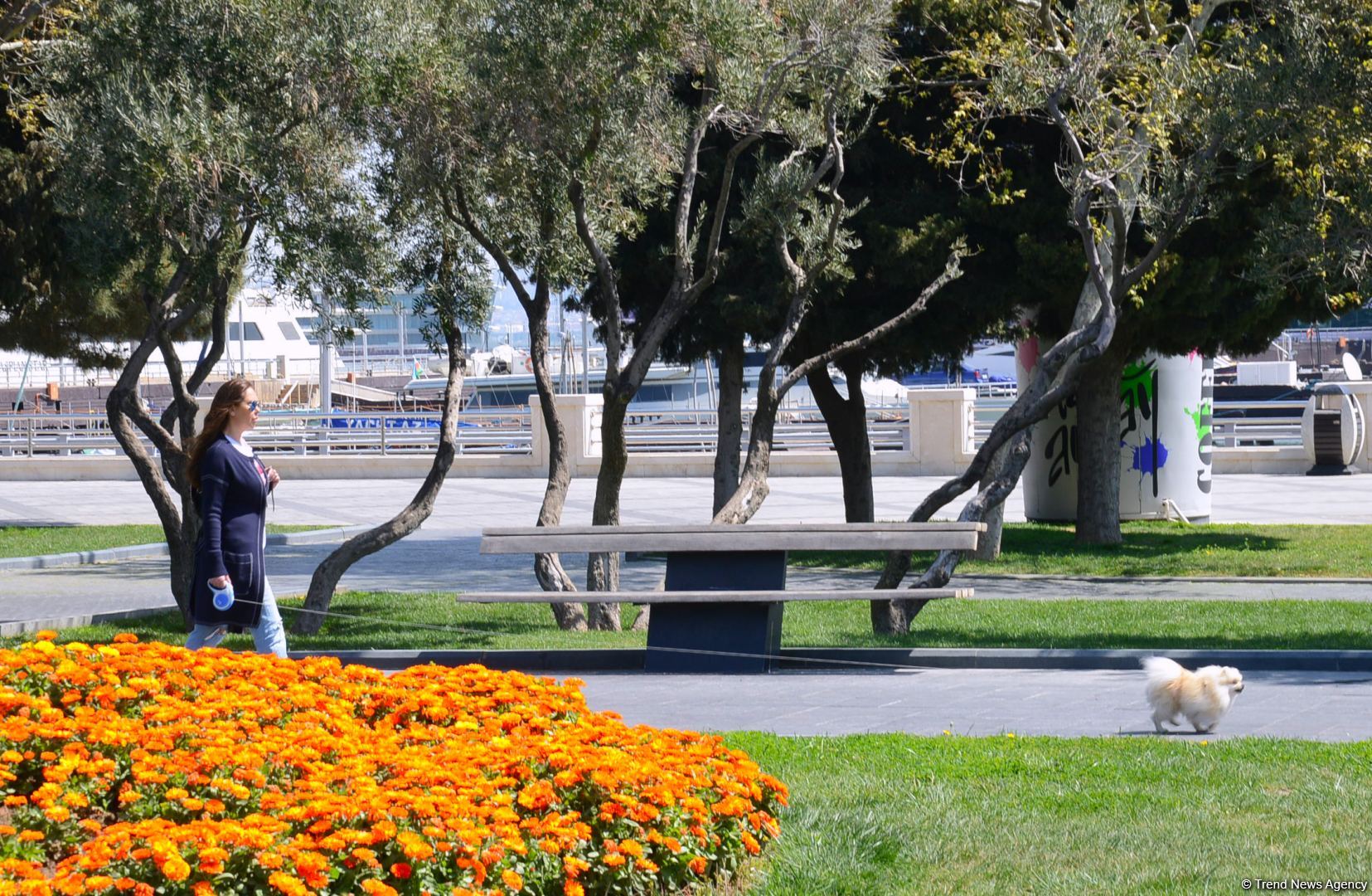Приморский бульвар Баку (ФОТОСЕССИЯ)