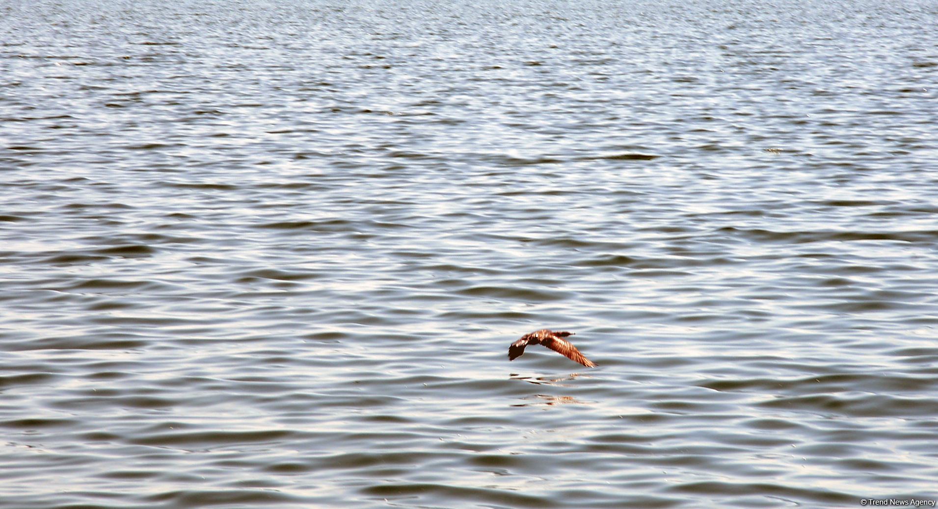 Приморский бульвар Баку (ФОТОСЕССИЯ)