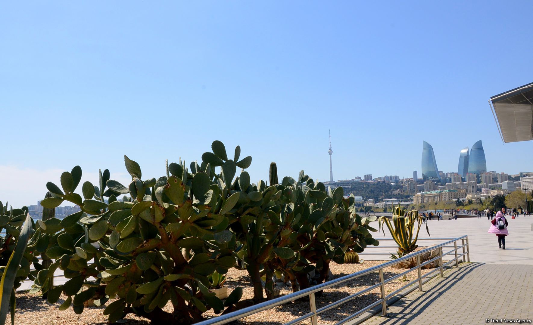 Приморский бульвар Баку (ФОТОСЕССИЯ)
