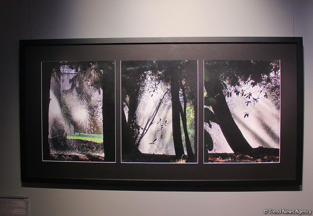 В Баку открылась оригинальная экспозиция Анны Ибрагимбековой "Зеркало незримого" – композиции в панно, диптихе и триптихе (ФОТО)