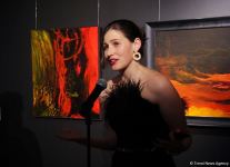 В QGallery открылась персональная выставка работ посла Австрии в Азербайджане Александра Байерля "Вслед за солнцем" (ФОТО)