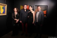 В QGallery открылась персональная выставка работ посла Австрии в Азербайджане Александра Байерля "Вслед за солнцем" (ФОТО)