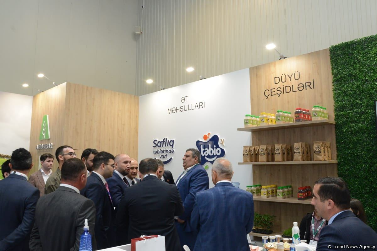 MUSIAD Azerbaijan подготовила стратегию развития на 2022 г. - Рашад Джабирли (ФОТО)